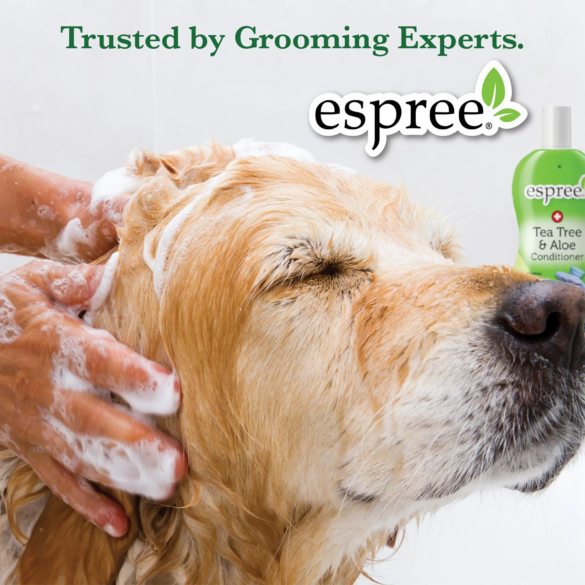 Espree Aloe Oatbath Medicated Shampoo For Dogs & Cats 20 Ounce